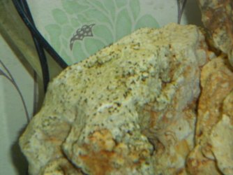DSCN2129.JPG