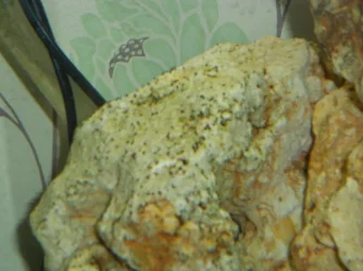 DSCN2129.webp