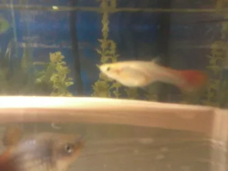 2013-05-18 22.47.21.webp