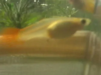 2013-05-23 22.10.54.webp