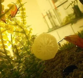 DSCN3098.webp