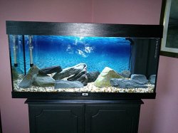 rsz_3dsc_0118.jpg