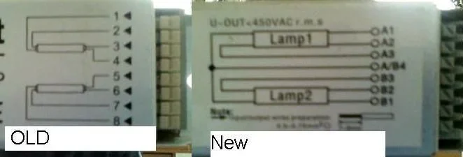 both.webp