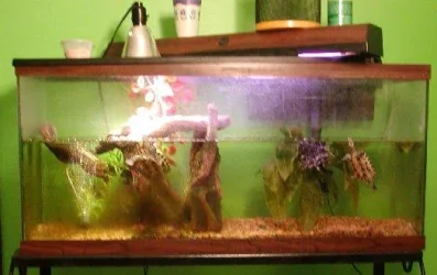 FULL_TANK.webp
