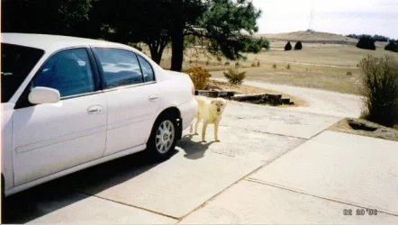 malibu3.webp