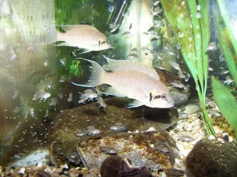 100_5362.webp