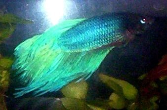 100_0703.JPG