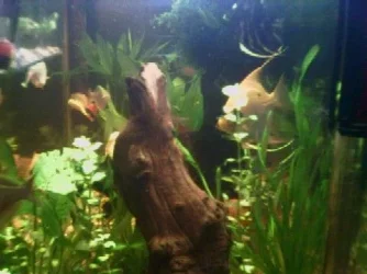 Photo0126.webp