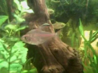 Photo0109.webp