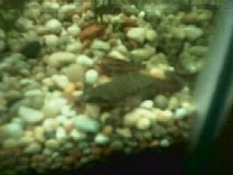Photo0163.webp