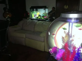 resized.webp