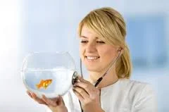 hostpital tank.webp