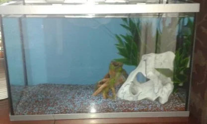 2013-06-12 14.40.43-1.webp