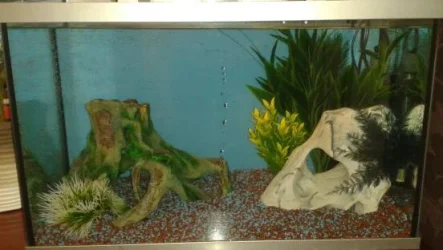 2013-06-12 19.24.26-1.webp