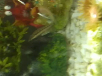 2013-06-13 13.11.10.webp