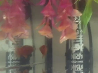 2013-06-12 11.36.07.webp
