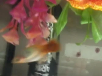 2013-06-13 14.33.56.webp