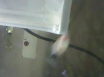 2013-06-13 15.00.50.webp