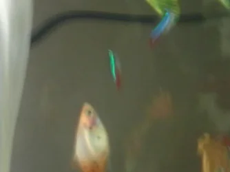 2013-06-13 14.54.23.webp