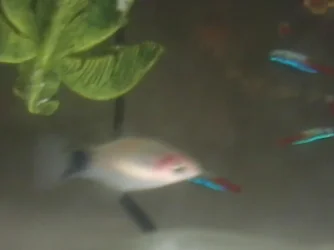 2013-06-12 11.36.14.webp