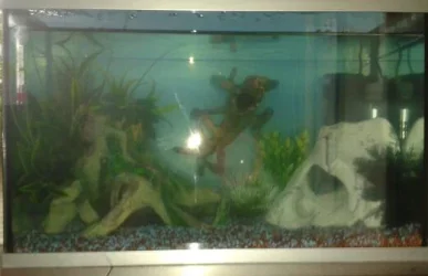 2013-06-20 13.53.37-1.webp