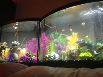 two tanks to post.webp