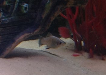 IMG_0084.JPG IMG_0084.JPG