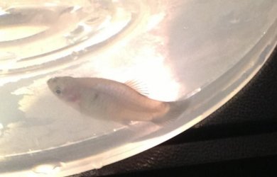 IMG_0089.JPG IMG_0089.JPG