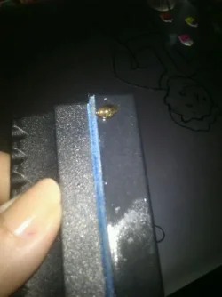 babysnail.webp