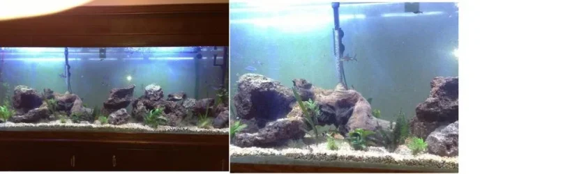 125 gal 1.webp