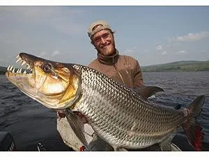 Web_Trip_GoliathTigerfish_Index.webp