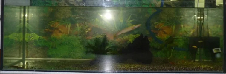 My230L_Tank.webp
