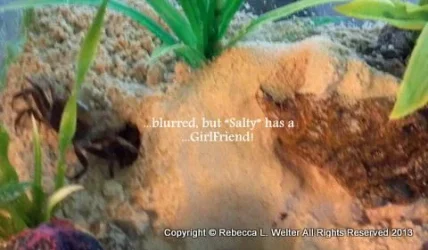 1-1-1-2013-07-11_13-43-035.webp