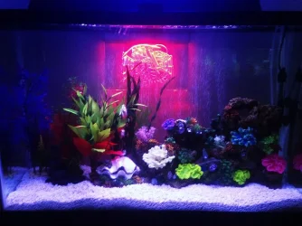 led on.webp