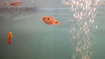 20130720_202116_41072.jpg