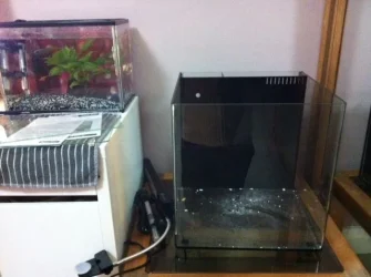 new tank.webp new tank.webp