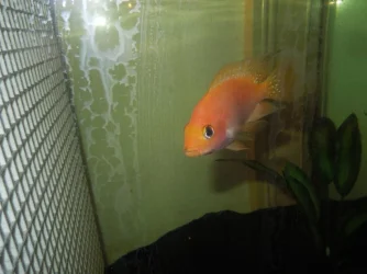 DSCN3574.webp