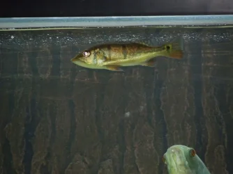 DSCN3967.webp