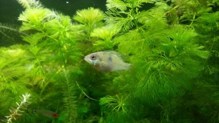 20130725_182250.jpg