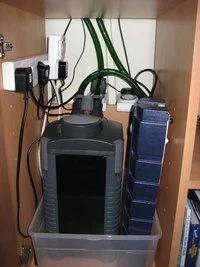 365974_200.webp
