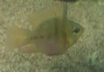 20130726_011421.webp