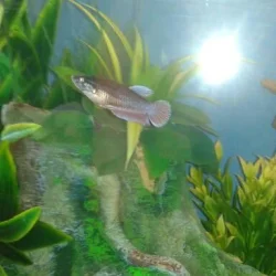 2013-07-29 12.03.40-1.webp