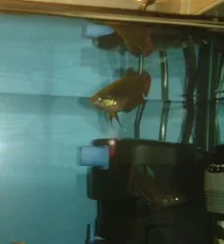 2013-07-29 18.47.41-1.webp