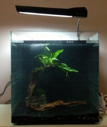 aquascape in progress.jpg