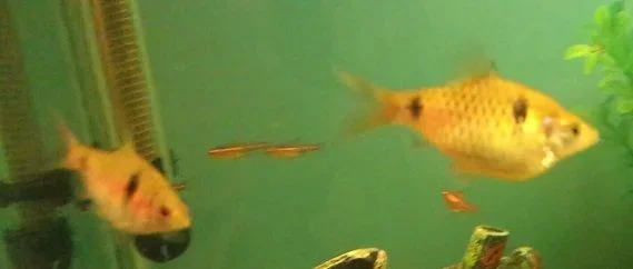 20130807_213226_12758.webp