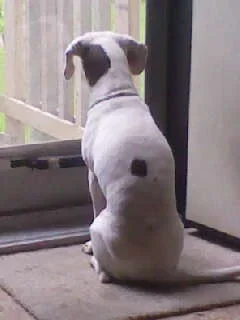 lucynwaiting.webp lucynwaiting.webp