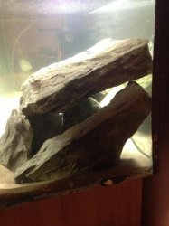 IMG_0263.JPG IMG_0263.JPG