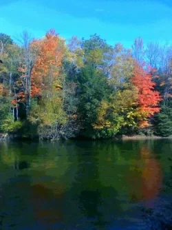 oscoda trip2.webp