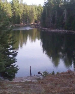 the u.p..webp