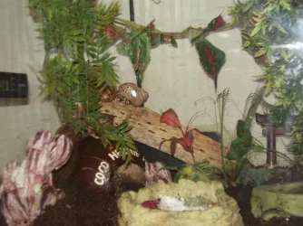 Picture 001.webp